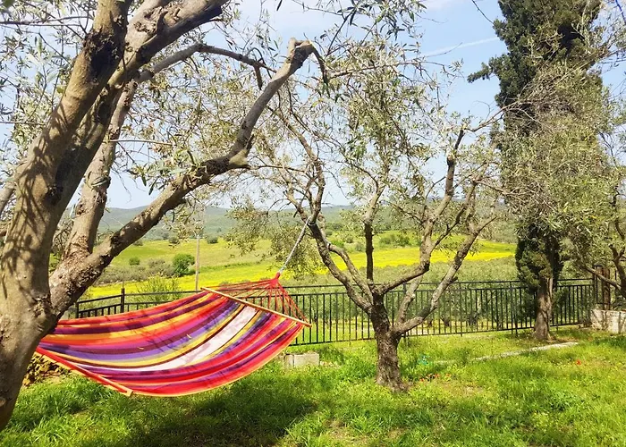 Milenitta * Vatopédhion