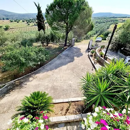 Milenitta Βατοπέδι